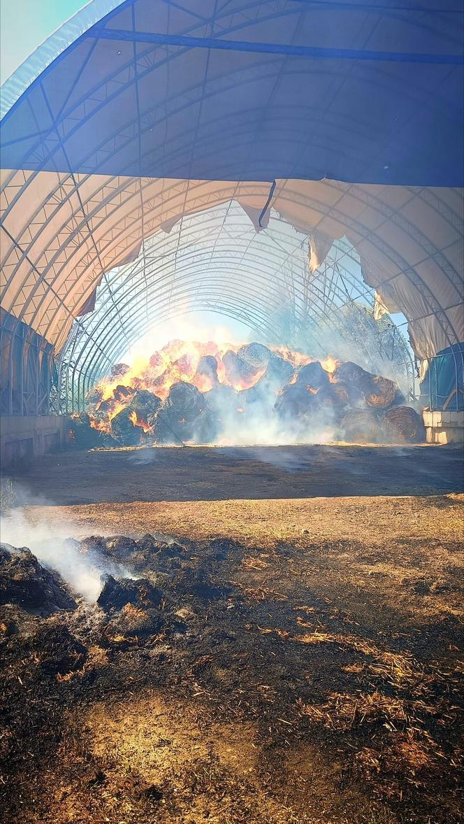 Pożar pod Krosnem Odrzańskim w Lubuskiem