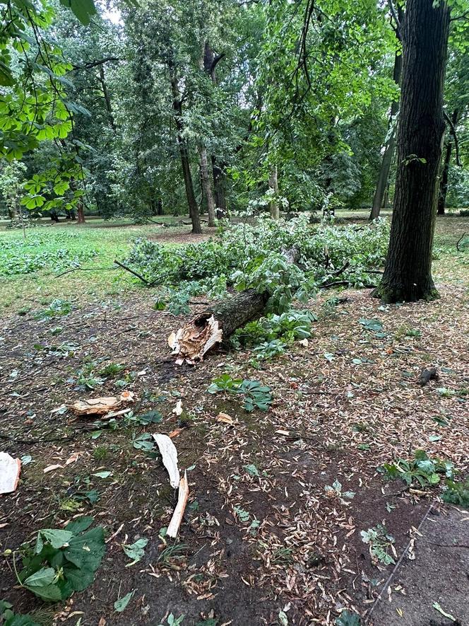 Łazienki Królewskie jednak zamknięte do odwołania