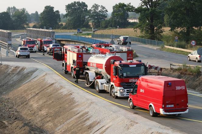 Pożar na północy Wrocławia. Zagrożonych było nawet 40 hektarów