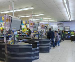 Lidl szuka pracowników. Ile można zarobić?