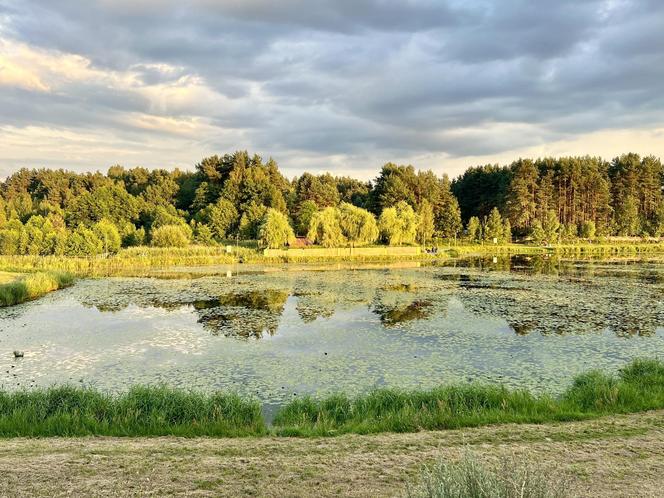 Szukacie ciszy i spokoju nad wodą? Zalew Umer to świętokrzyska oaza