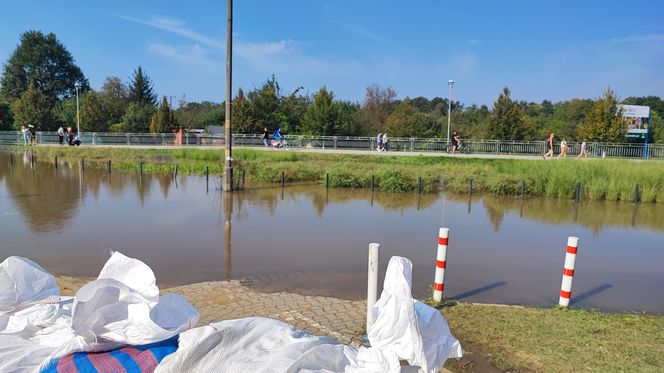 ieszkańcy w pocie czoła układają worki z piaskiem i zabezpieczają swoje budynki