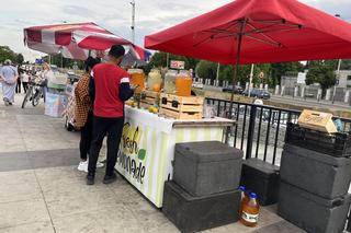 Most pieszo-rowerowy w Warszawie (5 maja 2024)