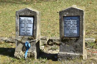 Cmentarz na Przełęczy Małastowskiej 