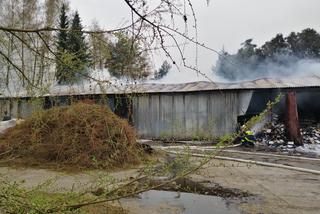 Pożar w miejscowości Zakręt