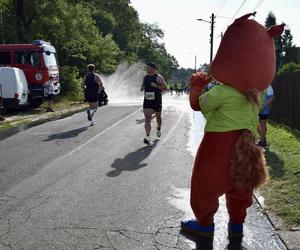 Tarnogórski Półmaraton