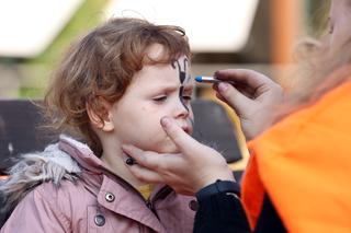 Farma dyń w Lublinie