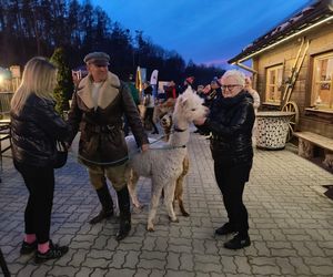 Zjazd na byle czym - Kielce Telegraf (15.03.2025)