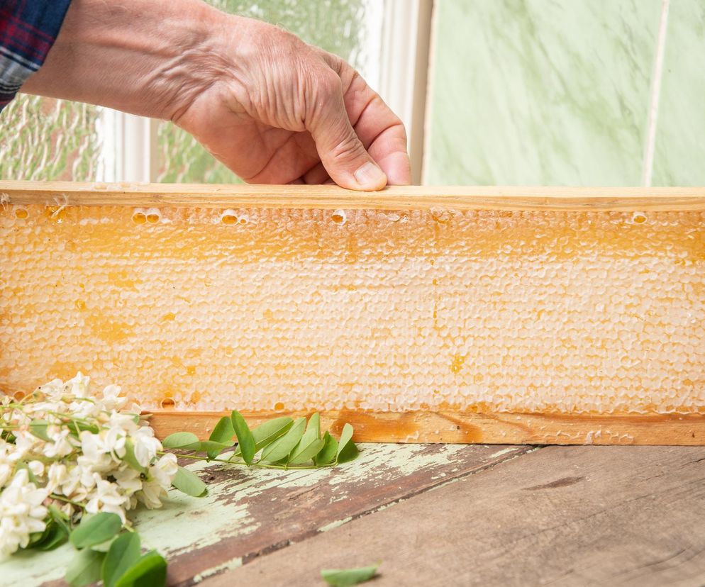 Uspokoi nie tylko nerwy. Doskonały, gdy dokucza ci brzuch. Miód, który kochają Polacy