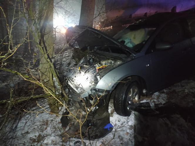 Zderzenie ciągnika z osobówką! Groźny wypadek pod Obornikami