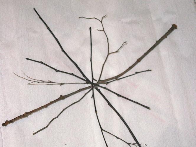 Dekoracje na Halloween - KROK I: układanie pajęczyny na sucho