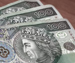 Wypłata 800 plus. Nie będzie to 1 stycznia