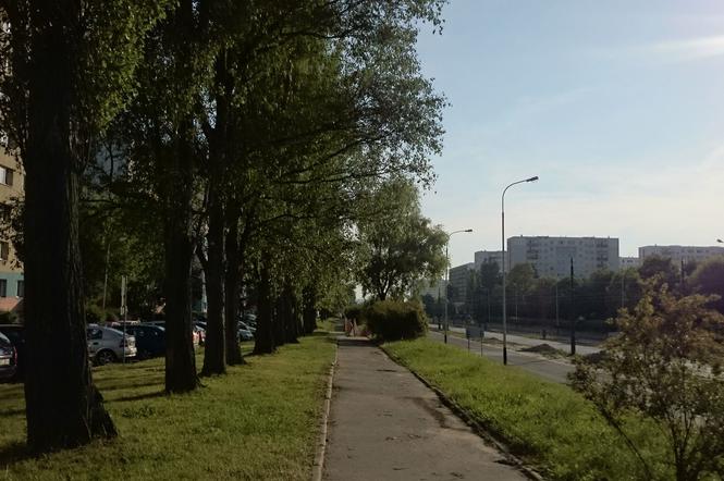 Do końca roku wyremontują w Łodzi 30 kilometrów chodników