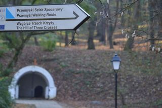 To najpiękniejszy park na Podkarpaciu według AI 