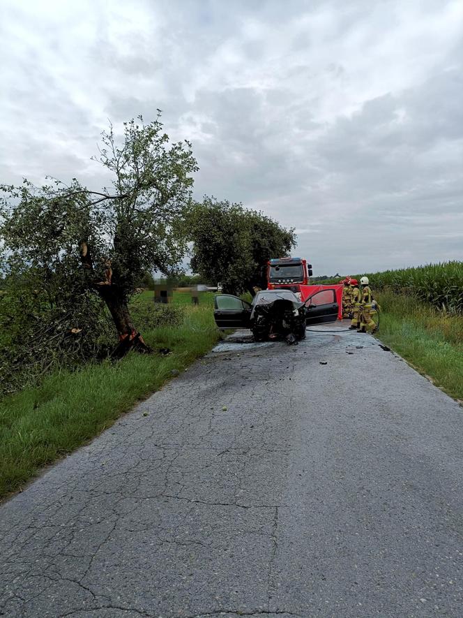 Śmiertelny wypadek pod Pleszewem. W aucie 40-latki wybuchł pożar [ZDJĘCIA]