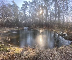 Opuszczona willa w Rąbieniu