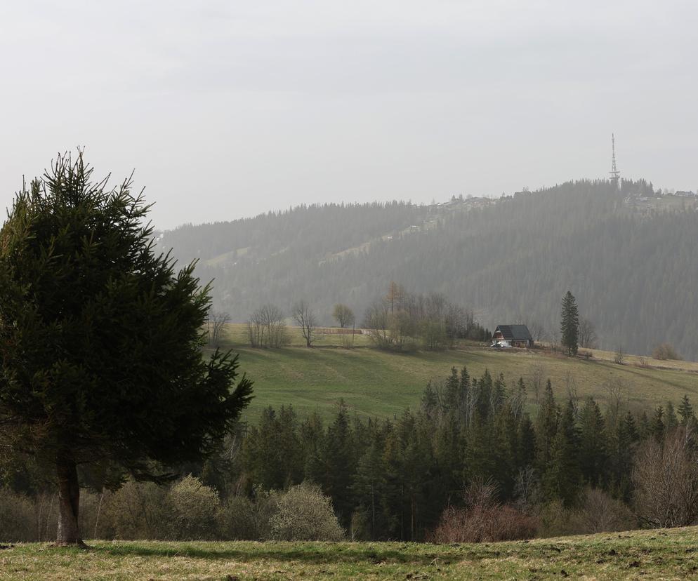 Pył znad Sahary nad Podkarpaciem