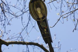 W Parku Skaryszewskim będzie jaśniej i bezpieczniej! Drogowcy wymienią wszystkie latarnie