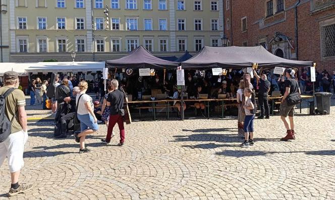 Gitarowy Rekord Świata 2024 we Wrocławiu rozpoczęty! Tak od samego rana wygląda teraz Rynek 