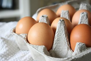 Salmonella na skorupkach jaj znanego producenta