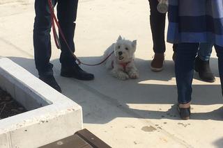 Twój pupil poczuje się jak w raju