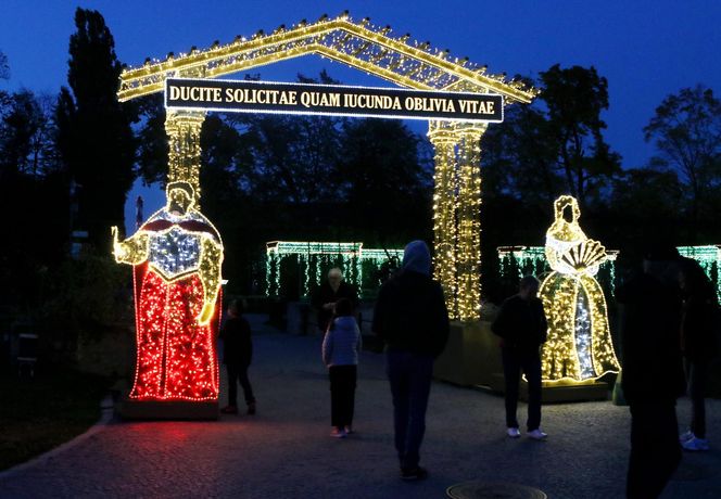 Królewski Ogród Świateł w Wilanowie już otwarty. Zobaczcie sami, jak tam jest pięknie!