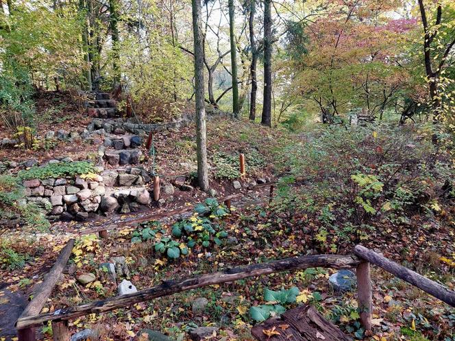 Chodźcie z nami na spacer po Ogrodzie Botanicznym UKW w Bydgoszczy. To ostatnia szansa!