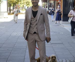 Te psy skradły serca gwiazd! 