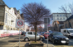 Katowice: Trzy drzewa pójdą pod topór. Ruszają przygotowania do przebudowy ul. Dworcowej [ZDJĘCIA, AUDIO]