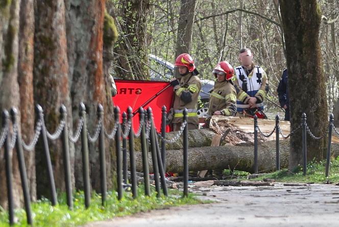 Rabka-Zdrój. Trzy osoby, w tym sześcioletnie dziecko, zginęły przygniecione przez powalone pod naporem wiatru drzewo