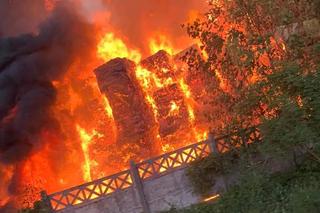 Potężny pożar w Cichoradzu pod Toruniem. Zdjęcia z akcji strażaków 