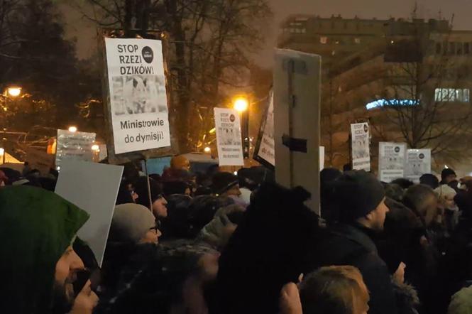 Protest pod Sejmem w obronie dzików