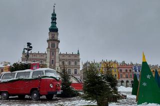 Niecodzienna  instalacja jeszcze do zobaczenia  w Zamościu