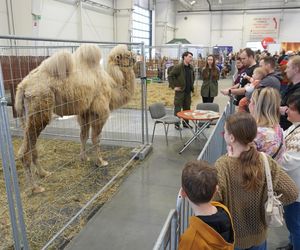 ZOOPARK w Lublinie. „Postawiliśmy na polski las. Chcemy promować nasze zwierzątka”