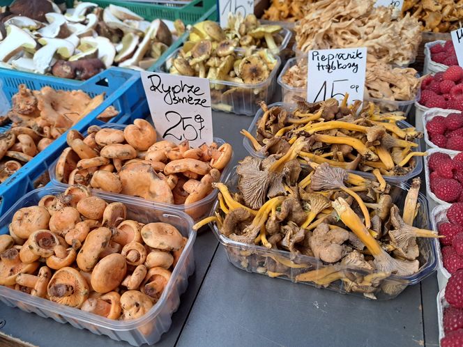 Ceny grzybów na Nowym i Starym Kleparzu w Krakowie