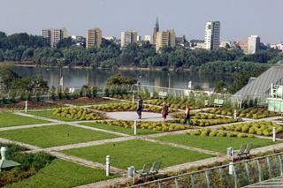 Spójrz na Warszawę z góry! Te punty widokowe zapewnią niezapomniane wrażenia