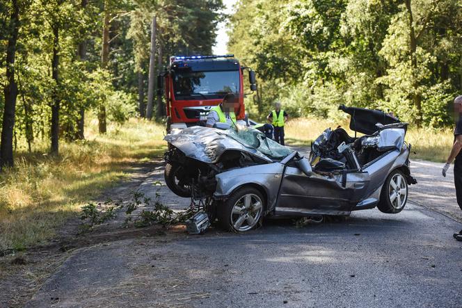 Nastolatkowie roztrzaskali się w lesie