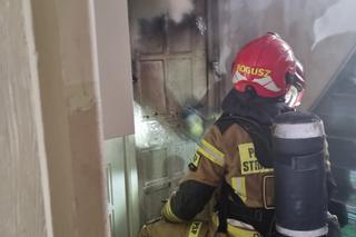 Pożar mieszkania w Toruniu. Dwie osoby w szpitalu, osiem zastępów straży w akcji