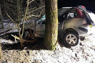 Potrącił psa, myślał, że zabił też sąsiada. Nie zniósł wyrzutów sumienia