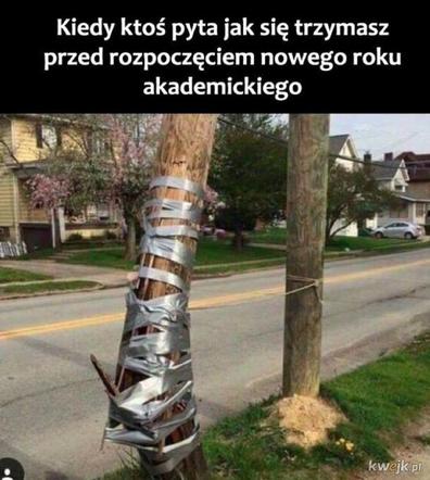 Początek roku akademickiego 2022/2023. Zobacz najlepsze memy o studiach i studentach!