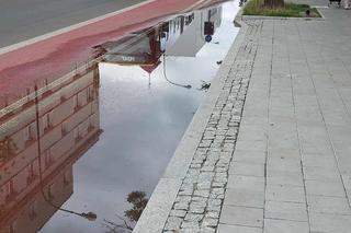 Łódź nie radzi sobie z zalanymi ulicami. Dlaczego system odprowadzania wody zawodzi?