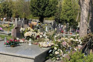 Julka padła ofiarą hejtu?