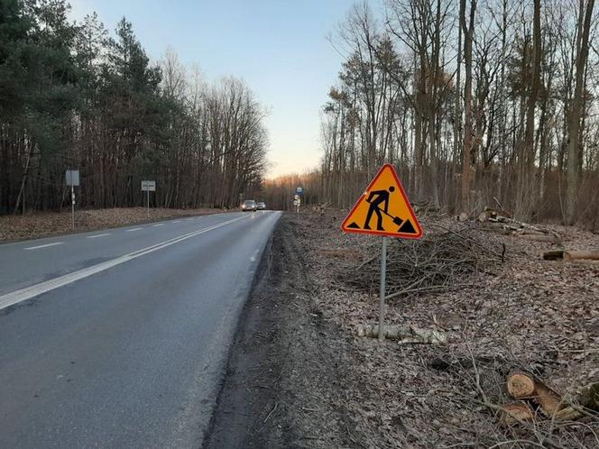 Bydgoszcz: Rozpoczyna się budowa drogi rowerowej przy DW 244