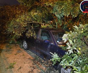 Warszawa zalana po burzy! Gigantyczne szkody na ulicach i posesjach