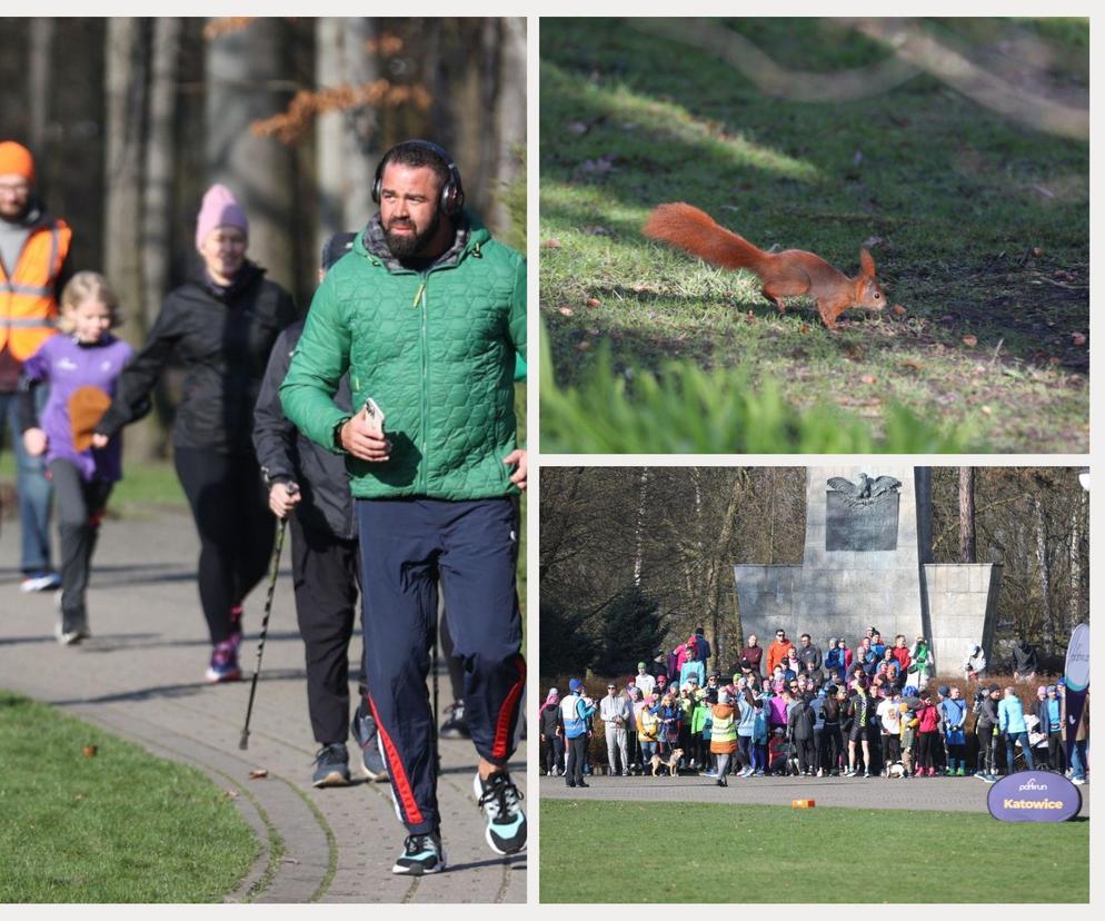 Parkrun w Katowicach znów przyciągnął tłumy