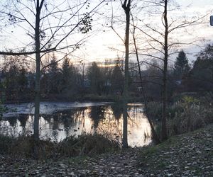 Tu powstanie kolejne miejske do rekreacji w Białymstoku. Tak obecnie wygląda staw przy Bema