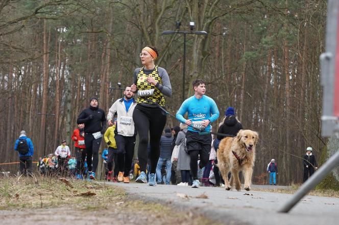 Rekordowy bieg City Trail w bydgoskim Myślęcinku [ZDJĘCIA]