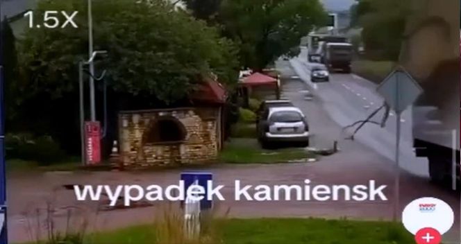 Pas od tira uderzył kobietę prosto w głowę. Wszystko widać na nagraniu