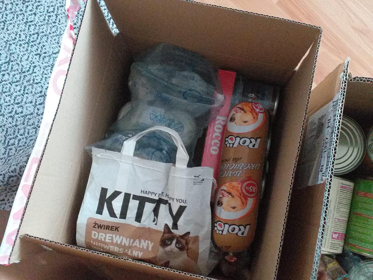 Zwierzęta z Ukrainy także potrzebują naszej pomocy