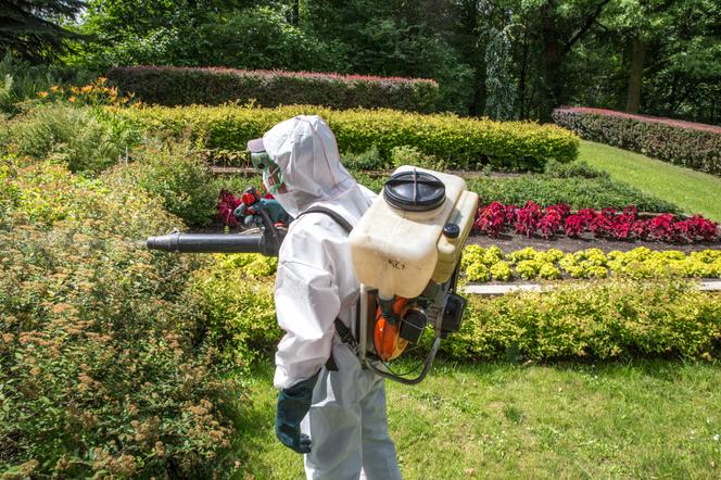 Katowice: Miasto zapowiada opryski na komary i kleszcze [LISTA MIEJSC]